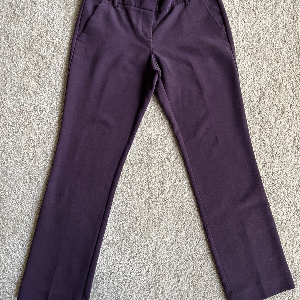 Purple Plum Straight Leg Dress Pants